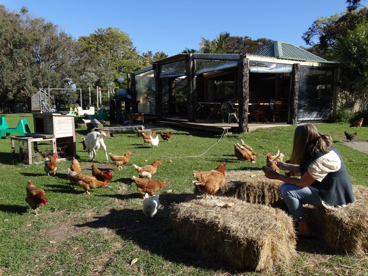 Ripples N Tonic Farmstay Ventnor Exterior photo