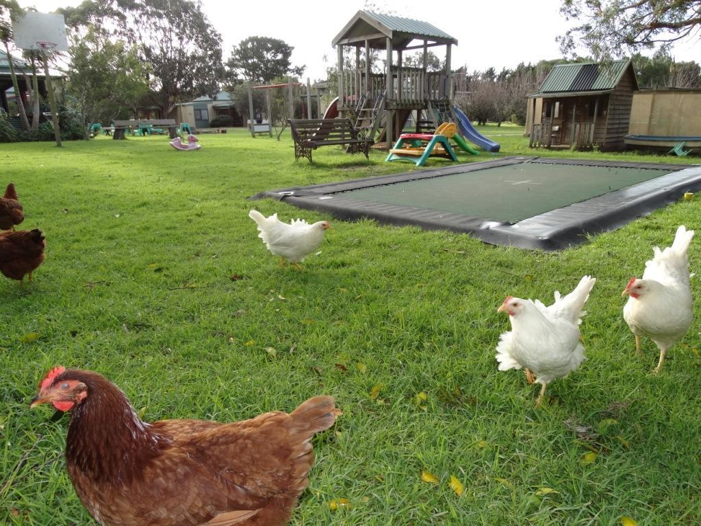 Ripples N Tonic Farmstay Ventnor Exterior photo
